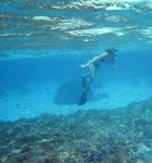 Snorkeling